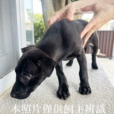 11407180012收