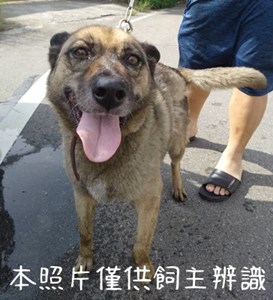 11407216004棄養