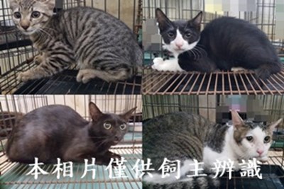 11407240009-12收