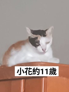 1753578294303.jpg
