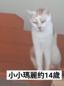 1753578295958.jpg