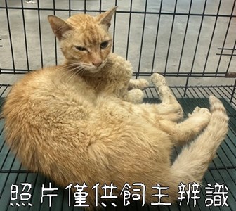 11407256001急難