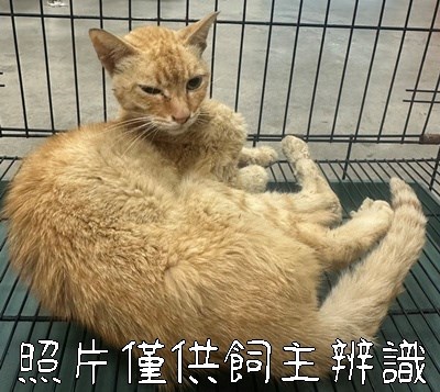 11407256001急難