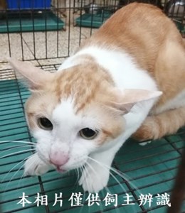 11407250018收56