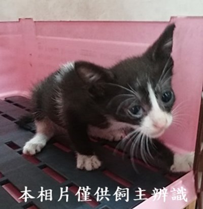 11407250020收4