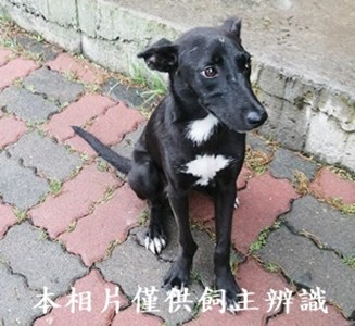 11407250024收3