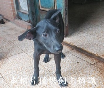11407250027收22