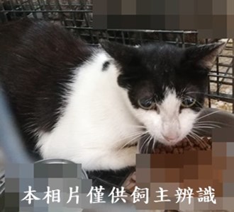 11407260001收31