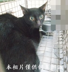 11407260002收21