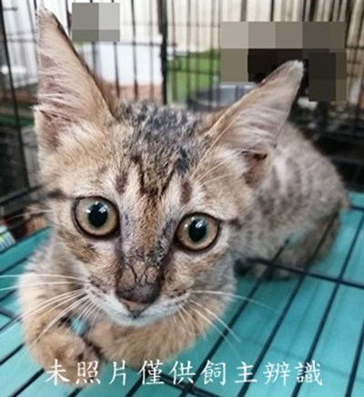 11407290010收52