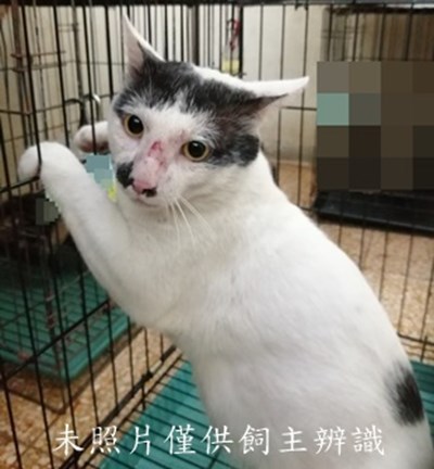 11407290012收36