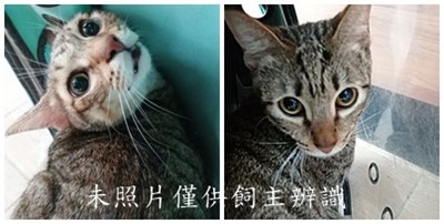 11407290013-14收