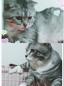 MEITU_20250729_135731569.jpg