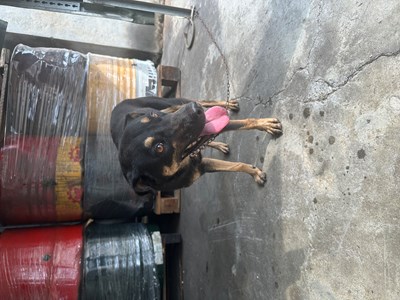 IMG_1068.jpeg