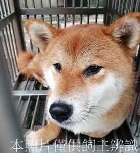 11408050012收W