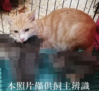 11408060019收72