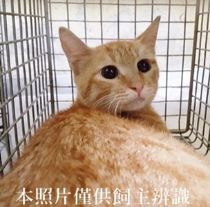 11408070002收-54
