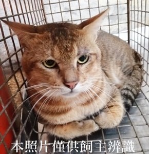 11408060020收29