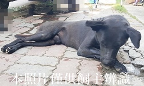 11408080013收-元12