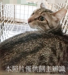11408090001收58