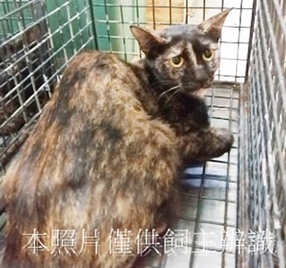 11408090002收73