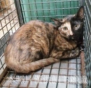 11408090003收56