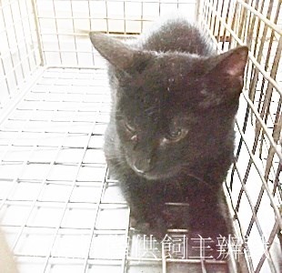 11408090006收53