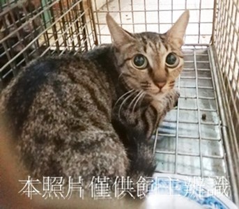 11408090010收20