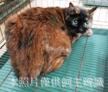 11408090020收10