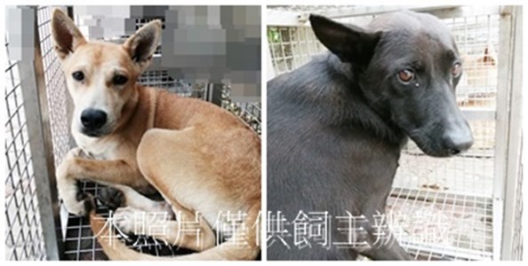 11408100001-2收