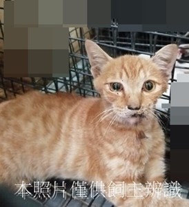 11408100004收74