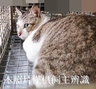 11408110004收46