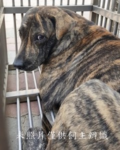 11408120005收-Y