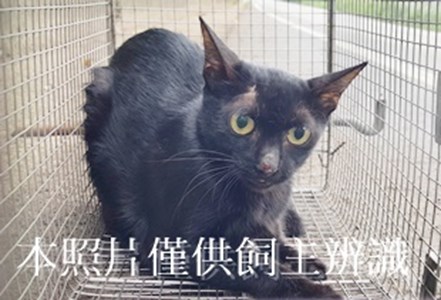 11408130006收