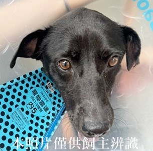 11408130007收