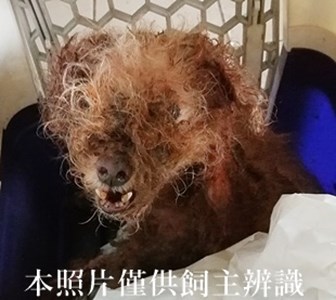 11408130009收-幼23