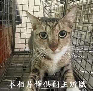 11408140001收70
