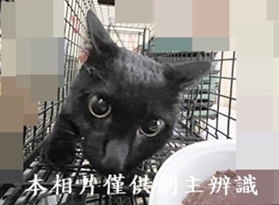 11408140002收28