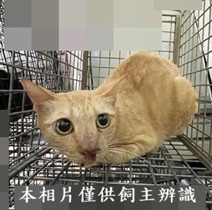 11408140003收46