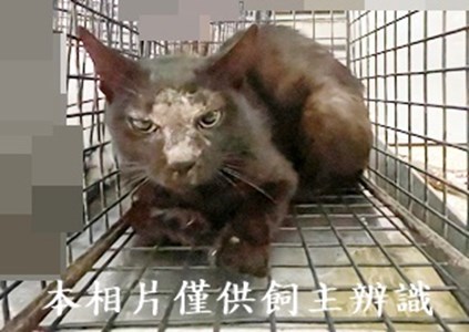 11408140004收30
