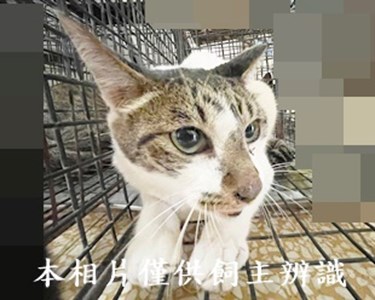 11408140005收6