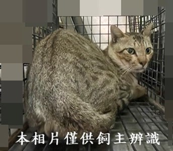 11408140006收31