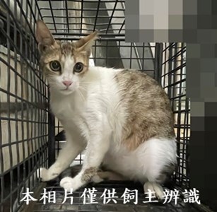 11408140007收48