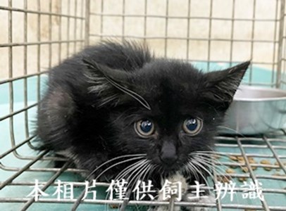 11408140008收53