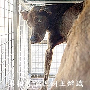 11408140010收Y