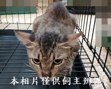 11408140014收18