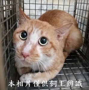 11408140016收31