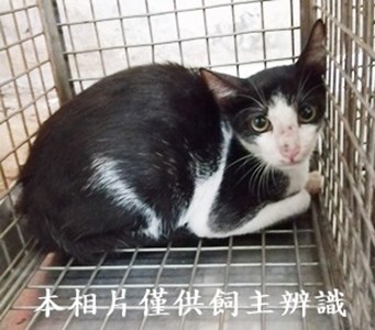 11408140017收26