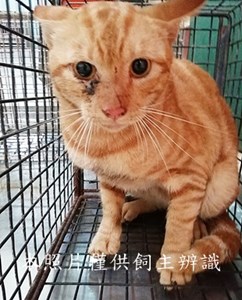 11408150004收56