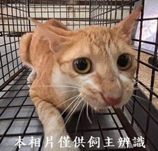 11408150009收75